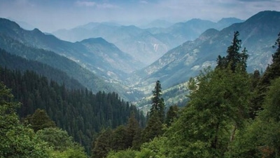 Shoja: This place is famous for its bird watching, camping, trails, and trekking. You should definitely add Shoja to your bucket list if you are fond of trekking.&nbsp; (Instagram)