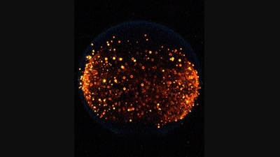 Nasa took to Instagram to share this image of fire in microgravity. (Instagram/@nasa)