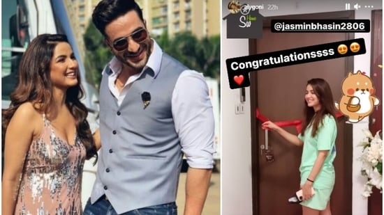 Jasmin Bhasin and Aly Goni are in a relationship.