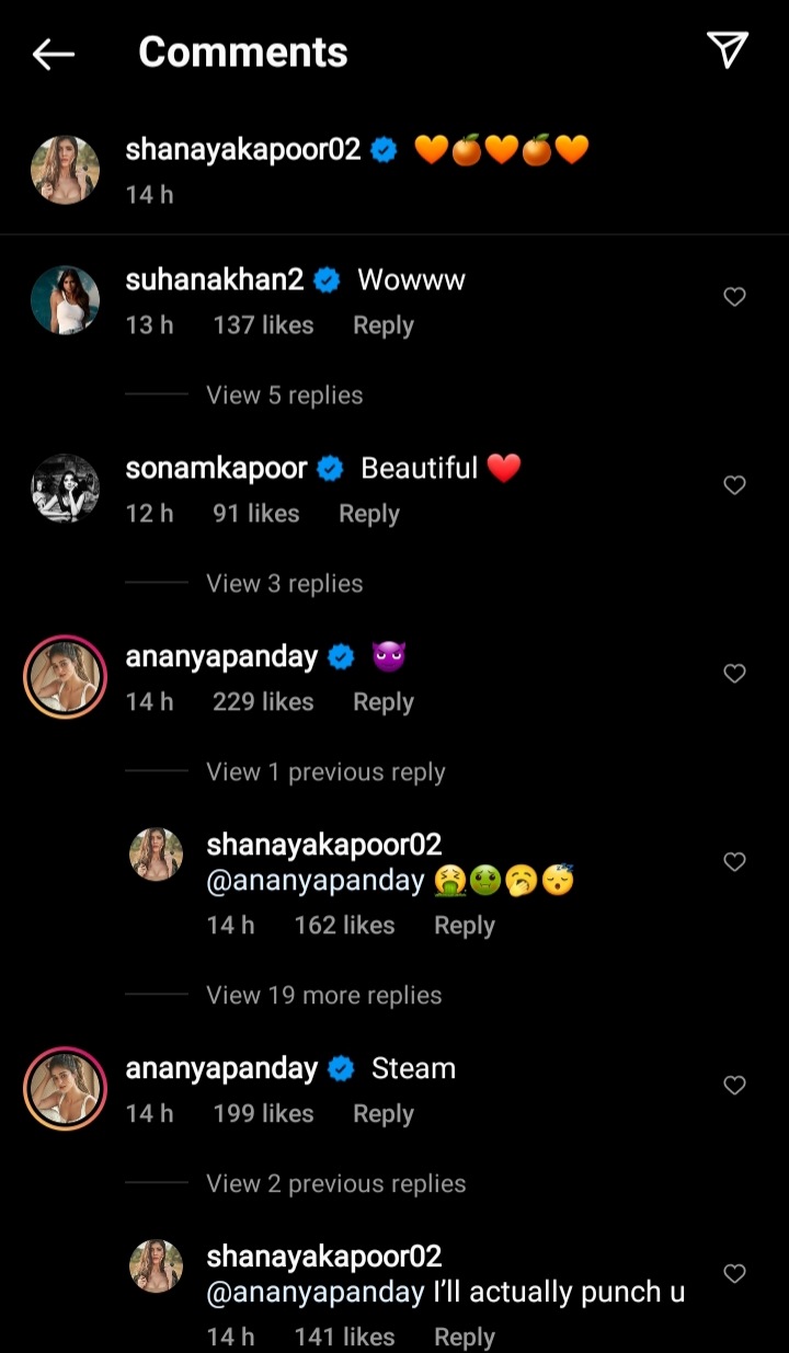 Suhana Khan, Ananya Panday and Sonam Kapoor's comments on Shanaya Kapoor's pictures(Instagram/shanayakapoor02)