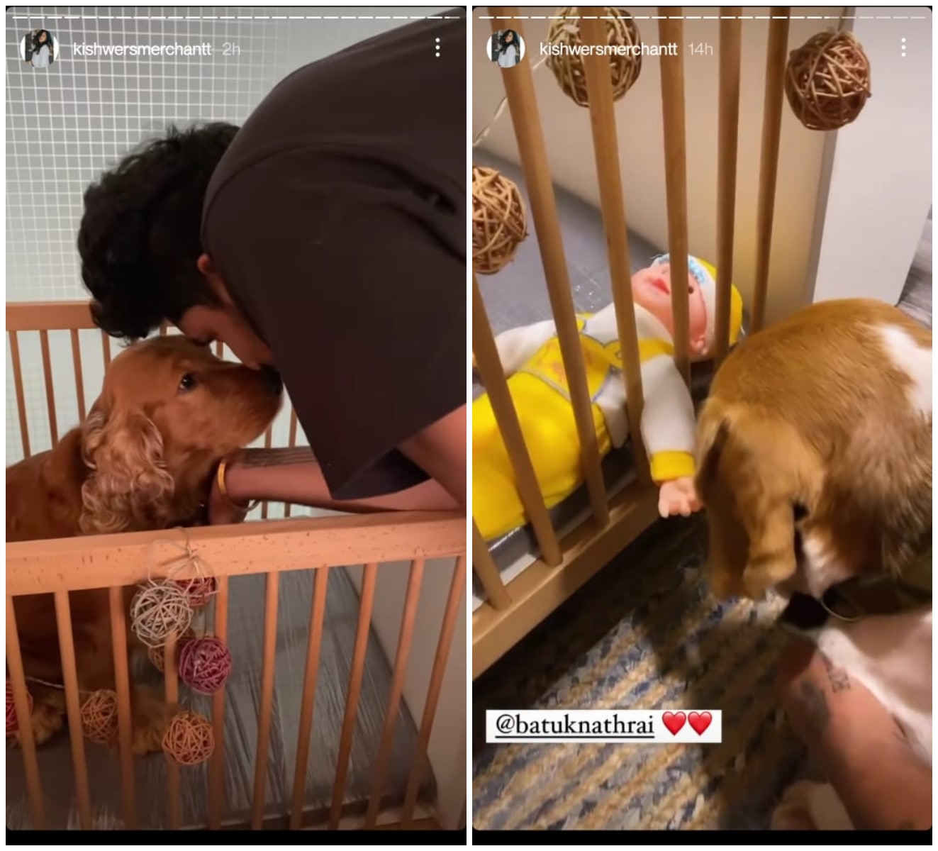 Kishwer Merchant and Suyyash Rai’s dog also featured. Kishwer Merchant and Suyyash Rai’s dog also featured.