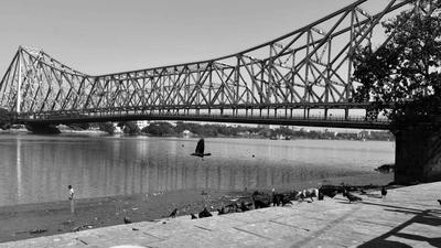 Only the twin cities of Kolkata and Howrah, where these services are already being offered, will be out of the new e-service system. (Image used for representation). (HT PHOTO.) Only the twin cities of Kolkata and Howrah, where these services are already being offered, will be out of the new e-service system. (Image used for representation). (HT PHOTO.)