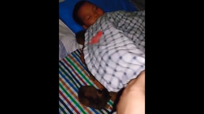 The image is taken from the video showing boy cuddling with cats. (Reddit/@ygrowup-vk)
