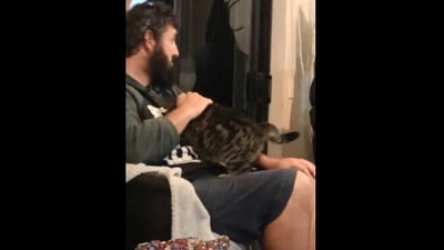The image shows the human with his cat. (Reddit/@morgybear)