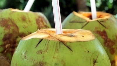 Coconut water: Staying hydrated before and after taking vaccination is extremely important. Doctors especially advise coconut water post vaccination as it helps in controlling blood pressure and is packed with many nutrients like Vitamin C, phosphorous, calcium, magnesium and potassium. It also helps to flush out harmful toxins from the body. (Pixabay)