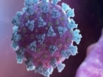 Long COVID's link to suicide: scientists warn of hidden crisis(REUTERS) Long COVID's link to suicide: scientists warn of hidden crisis(REUTERS)