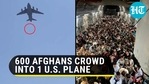 Reports said that a US military plane carried nearly 650 Afghans to Qatar (Twitter) Reports said that a US military plane carried nearly 650 Afghans to Qatar (Twitter)