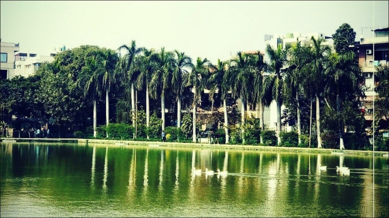 Delhi tourism dept lifts Covid19 curbs on boating in Model Town's