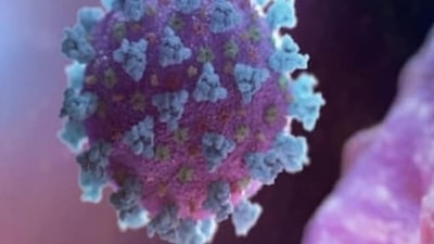Long COVID's link to suicide: scientists warn of hidden crisis (REUTERS) Long COVID's link to suicide: scientists warn of hidden crisis (REUTERS)