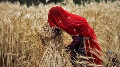 Representational image. (REUTERS File) Representational image. (REUTERS File)