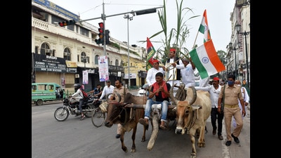 The legislators waved flags, carried sugarcane and placards and raised slogans all along, till the police stopped them at Hazratganj. (HT Photo) The legislators waved flags, carried sugarcane and placards and raised slogans all along, till the police stopped them at Hazratganj. (HT Photo)