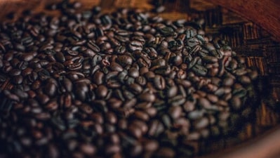 Kopi Luwak coffee: Kopi Luwak coffee or civet coffee is sold up to $700 per kg. This is no regular coffee since it is made from coffee beans that are eaten, partly digested and then defecated by the Asian palm civet or civet cat. Would you still try this? (Instagram/@koenig_photographie)