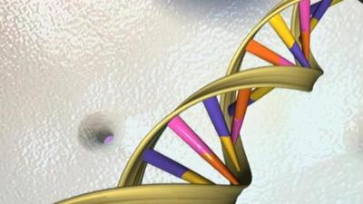 A DNA double helix. (File photo) A DNA double helix. (File photo)