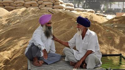 Farmers waiting for procurement of paddy. (HT File) Farmers waiting for procurement of paddy. (HT File)