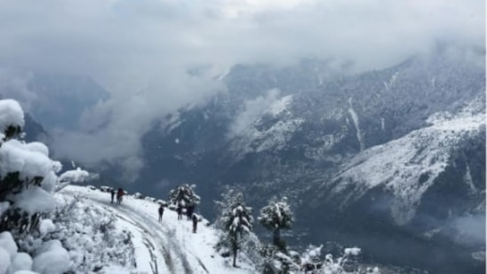 India's most colourful and flowerful spot - Yumthang Valley