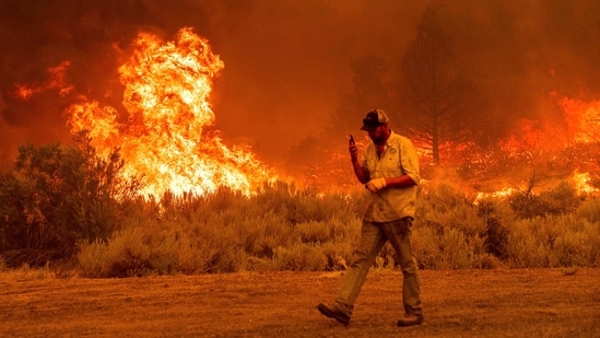 Dixie Fire burns near in Lassen County, California.(AP)