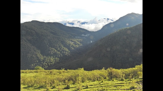 Arunachal’s annual mean temperature has risen by 0.05 degree Celcius each year in the past 40 years, resulting in total increase of 0.59 degree Celcius in temperature. (HT Photo)