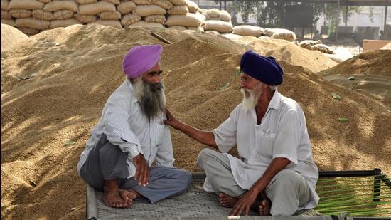 Farmers waiting for procurement of paddy. (HT File)