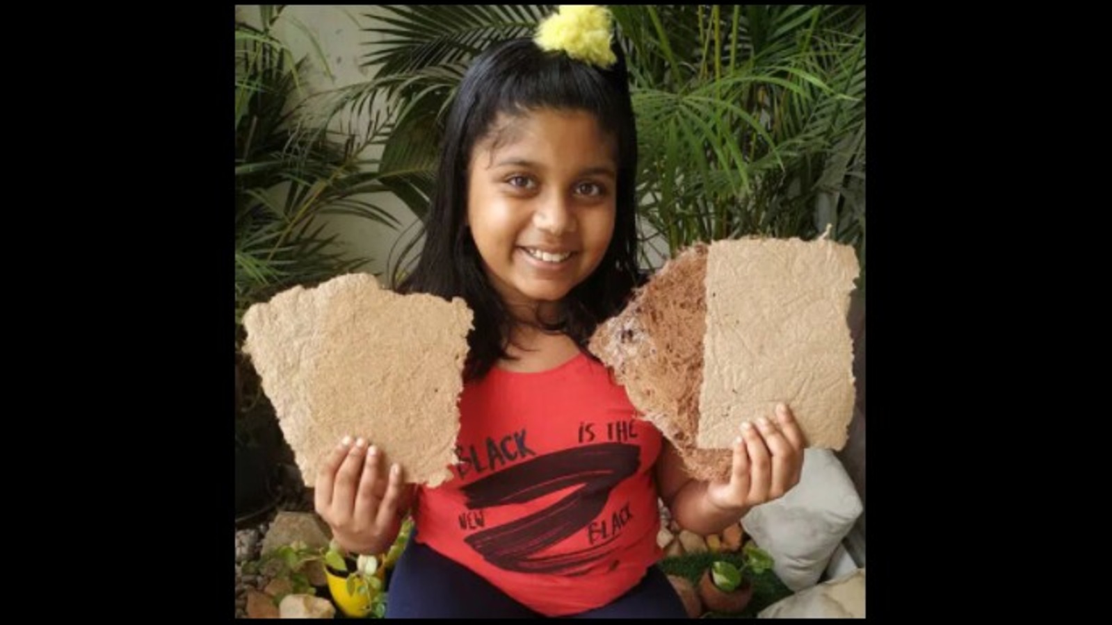 Eco warrior essay 08 image