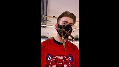 The image of the insects on the man's face. (Instagram/@insecthaus_adi)