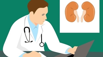 Monitor your kidney health on a regular basis. (Pixabay) Monitor your kidney health on a regular basis. (Pixabay)