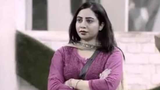 Arshi Khan was seen on Bigg Boss 14 last year.