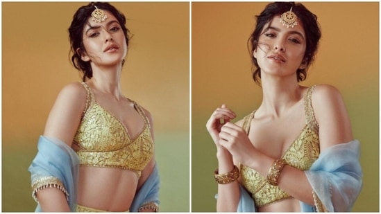 Shanaya Kapoor shared pictures in a lehenga.