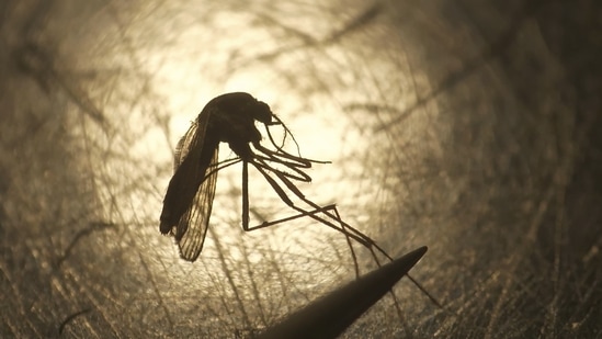 Officials said a major handicap of the elimination programme in Delhi is that the disease is not a notifiable disease, meaning healthcare institutions do not have to report cases to the civic authorities.(HT Archive) Officials said a major handicap of the elimination programme in Delhi is that the disease is not a notifiable disease, meaning healthcare institutions do not have to report cases to the civic authorities.(HT Archive)