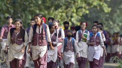 Since August 1, 25 students have tested positive in five schools of Ludhiana. (HT Photo)