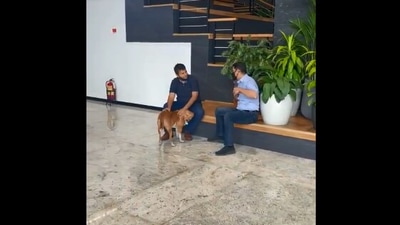 Bhavish Aggarwal's post has prompted people to share all sorts of comments. (Twitter/@bhash)