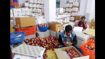 Apples being packaged for sale in the wholesale market in Shimla. The expensive packaging material has added to the woes of the fruit growers. (HT file photo) Apples being packaged for sale in the wholesale market in Shimla. The expensive packaging material has added to the woes of the fruit growers. (HT file photo)