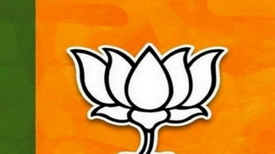 Image for representation. (ANI) Image for representation. (ANI)