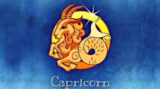 Capricorn  Anime-Planet