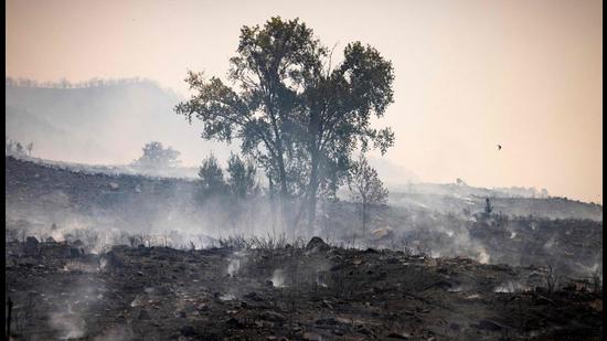 The IPCC in its Physical Science Basis report released on August 9 said that reaching net zero for greenhouse gas emissions is a requirement to stabilise human-induced global temperature at any level. (File photo) The IPCC in its Physical Science Basis report released on August 9 said that reaching net zero for greenhouse gas emissions is a requirement to stabilise human-induced global temperature at any level. (File photo)