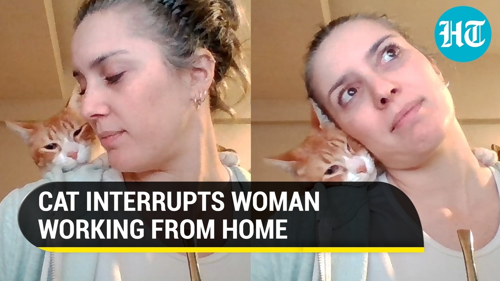 Cat Interrupts Human Working From Home In The Cutest Way Possible