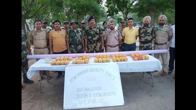 The joint team of the BSF and Amritsar (rural) police with the drugs seized near the Panjgrain border outpost along the Pakistan border in Dera Baba Nanak sector on Saturday. (HT Photo)