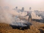 A farmer burns paddy stubble in a field, in Amritsar in this file picture from October 2020. (PTI Photo)