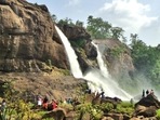 When the monsoon is delayed, it interferes with the life cycle of several species.(Getty Images/iStockphoto) When the monsoon is delayed, it interferes with the life cycle of several species.(Getty Images/iStockphoto)