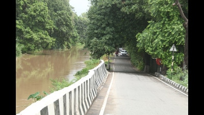 A 3-km-long stretch along the Sirhind canal on the outskirts of Bathinda will be developed into a biodiversity park. A 3-km-long stretch along the Sirhind canal on the outskirts of Bathinda will be developed into a biodiversity park.