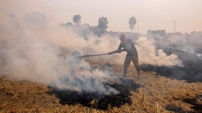 A farmer burns paddy stubble in a field, in Amritsar in this file picture from October 2020. (PTI Photo) A farmer burns paddy stubble in a field, in Amritsar in this file picture from October 2020. (PTI Photo)