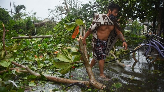 A resident moves a felled tree after Hurricane Grace made landfall in Tecolitla, Veracruz state in Mexico, on Saturday, August 21.(Bloomberg)