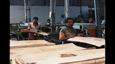 Submit report on plea against nod to wood-based industries: NGT to Punjab