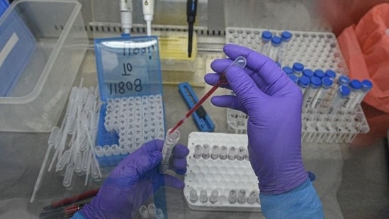 According to the US FDA’s website, Ivermectin tablets are approved to treat people who are suffering from intestinal strongyloidiasis and onchocerciasis, two conditions caused by parasitic worms. (Biplov Bhuyan/HT file photo. Representative image)