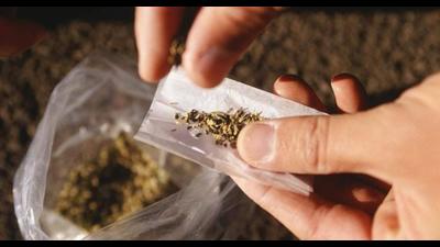 NCB seizes 24kg charas in Pathankot, three held