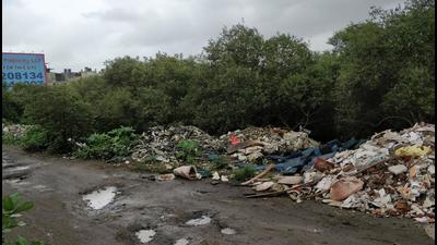 Debris dumping at Vashi mangrove. Debris dumping at Vashi mangrove.