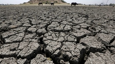 According to IMD, Odisha has recorded a 31% rain deficiency, Gujarat 47%, Kerala 28%, Manipur 58%, Arunachal Pradesh 25%, Mizoram 28% and Nagaland 24%. (File Photo / REUTERS) According to IMD, Odisha has recorded a 31% rain deficiency, Gujarat 47%, Kerala 28%, Manipur 58%, Arunachal Pradesh 25%, Mizoram 28% and Nagaland 24%. (File Photo / REUTERS)