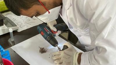 An expert extracting DNA material from a rhino horn during a verification process carried out in August. (Photo: Sourced) An expert extracting DNA material from a rhino horn during a verification process carried out in August. (Photo: Sourced)
