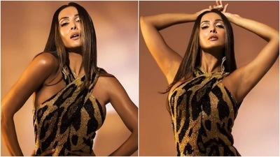 Malaika Arora slips into figure-hugging animal print dress for shoot, see her sexy pics (Instagram/@manekaharisinghani) Malaika Arora slips into figure-hugging animal print dress for shoot, see her sexy pics (Instagram/@manekaharisinghani)