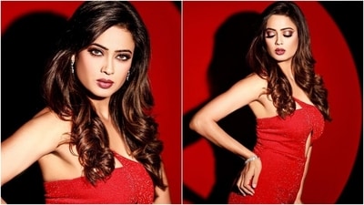 Currently, Shweta is part of the reality TV show Khatron Ke Khiladi 11 with Abhinav Shukla, Anushka Sen, Rahul Vaidya, Divyanka Tripathi, Vishal Aditya Singh, Sana Makbul, Varun Sood and Nikki Tamboli. Earlier, she had shared pictures from a smoking hot photoshoot where she donned a stunning red ensemble. (Instagram/@shwetatiwari)