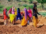 Women labourers work at a site under the Mahatma Gandhi National Rural Employment Guarantee Act, Ajmer, 2020 (PTI) Women labourers work at a site under the Mahatma Gandhi National Rural Employment Guarantee Act, Ajmer, 2020 (PTI)